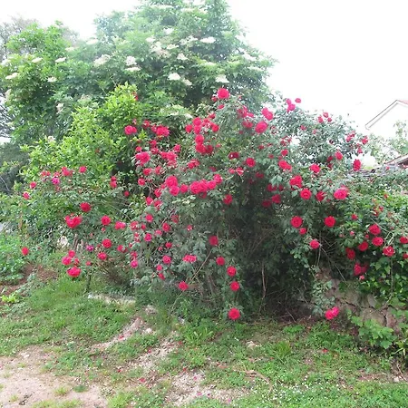 Deborah Апартаменты *